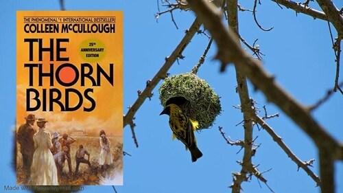 The Thorn Birds (Courtesy: The Author) The Thorn Birds (Courtesy: The Author)