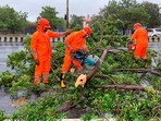 NDRF personnel clear trees uprooted following the landfall of cyclone Biparjoy in Gujarat's Gandhidham. NDRF personnel clear trees uprooted following the landfall of cyclone Biparjoy in Gujarat's Gandhidham.
