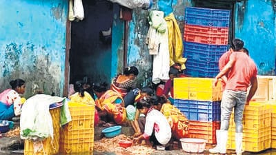 Colaba residents raise a stink about fish waste at Sassoon Dock