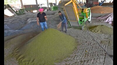Farmer and daily wagers at Jagraon grain market in Ludhiana on Sunday. (HT Photo) Farmer and daily wagers at Jagraon grain market in Ludhiana on Sunday. (HT Photo)
