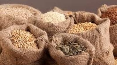 India’s federally held food stockpile stands at 72.5 million tonne, which includes a large surplus. (Representational Image) India’s federally held food stockpile stands at 72.5 million tonne, which includes a large surplus. (Representational Image)