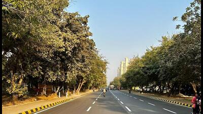 Gurugram sectors will soon be identified by their flora Gurugram sectors will soon be identified by their flora