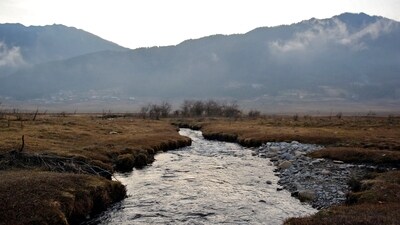 A stream runs through the Phobjikha Valley in Bhutan. (Reuters)