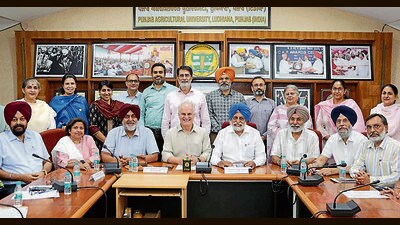 PAU and ACIAR officials at the varsity in Ludhiana on Monday. (HT Photo) PAU and ACIAR officials at the varsity in Ludhiana on Monday. (HT Photo)