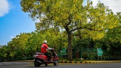 The matter will be heard next on July 7. (Sanchit Khanna/ Hindustan Times) The matter will be heard next on July 7. (Sanchit Khanna/ Hindustan Times)