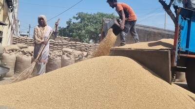 India’s federally held food stockpile stands at 72.5 million tonne, which includes a large surplus. (Representational Image/HT Photo)