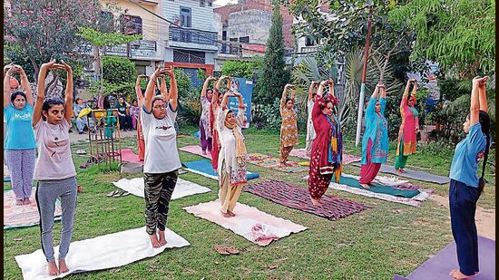 A yoga training session in progress in Ludhiana on Monday. (HT Photo)
