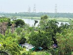 From this vantage spot on Nizamuddin bridge, however, the river, winding through a terrain of trees and greens, looks quite pristine.