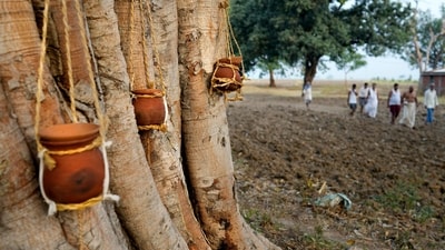 Ashes of three villagers who died due to heat related ailments are hung from a tree during their funeral in Ballia district, on June 19. Several people have died in two of India's most populous states, UP and Bihar, in recent days amid a searing heat wave, as hospitals find themselves overwhelmed with patients. (Rajesh Kumar Singh / AP) Ashes of three villagers who died due to heat related ailments are hung from a tree during their funeral in Ballia district, on June 19. Several people have died in two of India's most populous states, UP and Bihar, in recent days amid a searing heat wave, as hospitals find themselves overwhelmed with patients. (Rajesh Kumar Singh / AP)