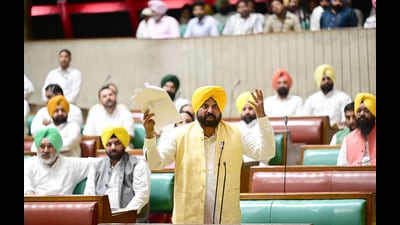Chief minister Bhagwant Mann while speaking in Punjab Vidhan Sabha said that the state has rich culture, traditions and heritage which need to be perpetuated amongst the younger generations, and for this, educational institutions, especially, universities can play a pivotal role. (Ravi Kumar/HT) Chief minister Bhagwant Mann while speaking in Punjab Vidhan Sabha said that the state has rich culture, traditions and heritage which need to be perpetuated amongst the younger generations, and for this, educational institutions, especially, universities can play a pivotal role. (Ravi Kumar/HT)