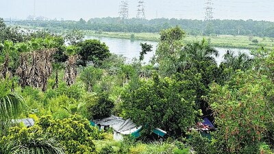 From this vantage spot on Nizamuddin bridge, however, the river, winding through a terrain of trees and greens, looks quite pristine.