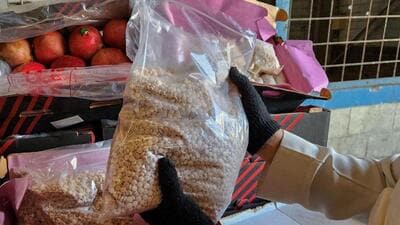 The raids, conducted largely against street-level drug traffickers between Monday and Tuesday, led to the recovery of around 30kg marijuana, 345g smack, and 140g amphetamine, said officials. (AFP) The raids, conducted largely against street-level drug traffickers between Monday and Tuesday, led to the recovery of around 30kg marijuana, 345g smack, and 140g amphetamine, said officials. (AFP)