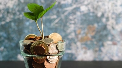 Read daily money and career horoscopes for all zodiac signs and know your fortune for today at Hindustan Times. (Unplash) Read daily money and career horoscopes for all zodiac signs and know your fortune for today at Hindustan Times. (Unplash)