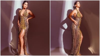 Hina's dress features a halter plunging neckline accentuating her decolletage, shimmering silver tassel embellishments, a front thigh-high slit, skin-revealing cut-outs, a floor-sweeping train, and a figure-hugging silhouette. (Instagram) Hina's dress features a halter plunging neckline accentuating her decolletage, shimmering silver tassel embellishments, a front thigh-high slit, skin-revealing cut-outs, a floor-sweeping train, and a figure-hugging silhouette. (Instagram)