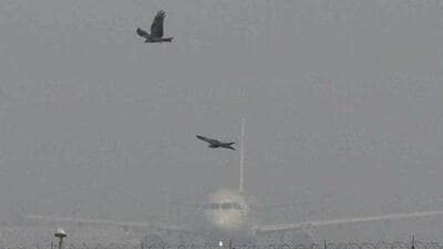 IndiGo offered passengers a refund or alternative flight, which was arranged at 4 pm and all passengers opted for it. (HT File)