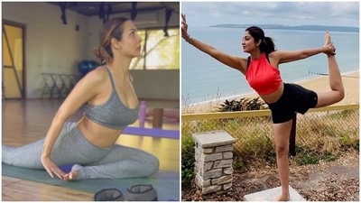 Happy Yoga Day 2023: How Malaika Arora and Shilpa Shetty celebrated Yoga Day. 