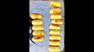 The packets of narcotic items seized in Ferozepur.