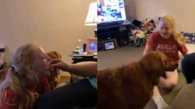Sibling rivalry between a dog and its human. (Instagram/@trickynikki74) Sibling rivalry between a dog and its human. (Instagram/@trickynikki74)