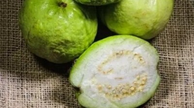Guavas: These fruits are loaded with Vitamin C and are known for boosting immunity as well as alleviating the risk of cancer.&nbsp; (Unsplash)