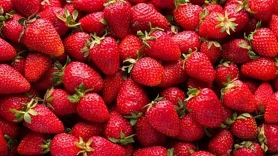 Strawberries: Strawberries are loaded with antioxidants and Vitamin C and are known for delivering vitamins and fiber to the body.&nbsp; (Unsplash)