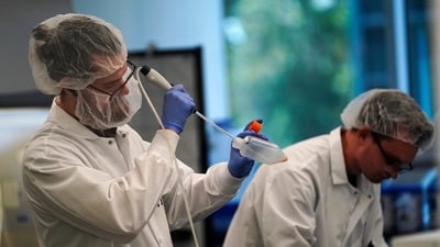 Scientists work in a bioprocess lab at Eat Just in Alameda, Calif., Wednesday, June 14. (AP) Scientists work in a bioprocess lab at Eat Just in Alameda, Calif., Wednesday, June 14. (AP)