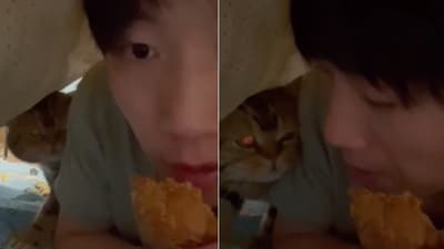 The image shows a cat looking at a man eating chicken while hiding from the kitty. (Reddit/@Found_new_username) The image shows a cat looking at a man eating chicken while hiding from the kitty. (Reddit/@Found_new_username)