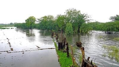The death toll in the state due to rain-related incidents has touched 25. (PTI photo)