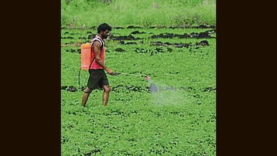Users can monitor transaction status, link their land records, which is mandatory to avail the benefits, know dates of installments through the app, according to details shared by the ministry (HT Photo) Users can monitor transaction status, link their land records, which is mandatory to avail the benefits, know dates of installments through the app, according to details shared by the ministry (HT Photo)