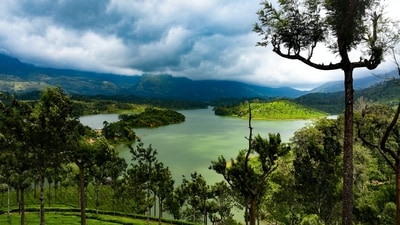 Munnar, Kerala: Located in the Western Ghats, Munnar is a hill station known for its sprawling tea estates, mist-covered valleys, and cascading waterfalls. The monsoon season adds a mystical touch to this already beautiful destination. Trek through the tea gardens, visit the enchanting Attukad Waterfalls, and revel in the cool and refreshing climate. (Unsplash) Munnar, Kerala: Located in the Western Ghats, Munnar is a hill station known for its sprawling tea estates, mist-covered valleys, and cascading waterfalls. The monsoon season adds a mystical touch to this already beautiful destination. Trek through the tea gardens, visit the enchanting Attukad Waterfalls, and revel in the cool and refreshing climate. (Unsplash)