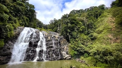 Coorg, Karnataka: Coorg, also known as Kodagu, is a popular destination for nature lovers. The monsoon season brings out the true beauty of this region with its coffee plantations, spice estates, and waterfalls. Experience the aroma of coffee as you explore the plantations, visit the majestic Abbey Falls, and enjoy the refreshing monsoon showers amidst the verdant landscapes. (Unsplash) Coorg, Karnataka: Coorg, also known as Kodagu, is a popular destination for nature lovers. The monsoon season brings out the true beauty of this region with its coffee plantations, spice estates, and waterfalls. Experience the aroma of coffee as you explore the plantations, visit the majestic Abbey Falls, and enjoy the refreshing monsoon showers amidst the verdant landscapes. (Unsplash)