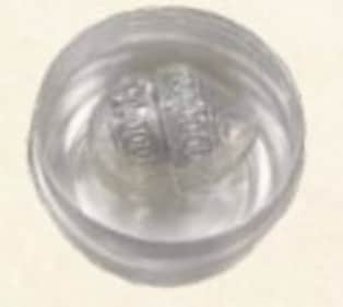 A delicately handcrafted silver coconut. (ANI/ Twitter) A delicately handcrafted silver coconut. (ANI/ Twitter)