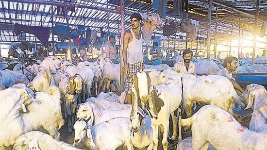 Islamic Centre of India issues advisory for Bakrid in Uttar Pradesh (file pic)