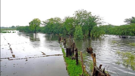 The death toll in the state due to rain-related incidents has touched 25. (PTI photo)