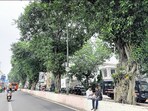 The historic Walled City is crammed with monuments, havelis and eateries, with delightfully picturesque corners hidden in most unexpected streets.