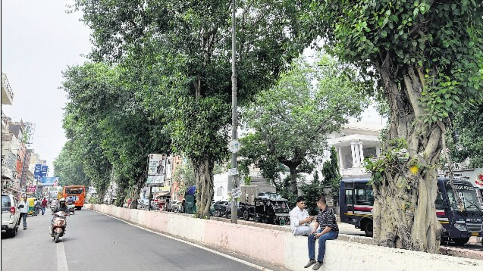 Delhiwale: We, the peepal - Vimarsana News