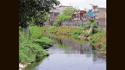 A view of the polluted Buddha Nullah in Ludhiana. (HT File Photo)