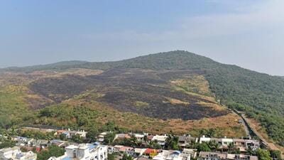 Mumbai, India - December 4, 2018: A day after massive fire in Aarey forest near Infinity IT Park at Goregaon in Mumbai, India, on Tuesday, December 4, 2018. (Photo by Satyabrata Tripathy/Hindustan Times) (Satyabrata Tripathy/HT Photo) Mumbai, India - December 4, 2018: A day after massive fire in Aarey forest near Infinity IT Park at Goregaon in Mumbai, India, on Tuesday, December 4, 2018. (Photo by Satyabrata Tripathy/Hindustan Times) (Satyabrata Tripathy/HT Photo)