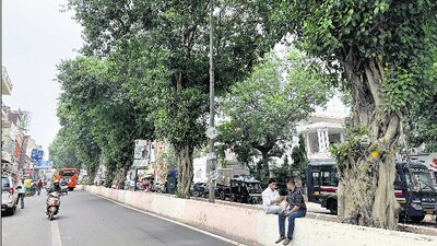 The historic Walled City is crammed with monuments, havelis and eateries, with delightfully picturesque corners hidden in most unexpected streets. The historic Walled City is crammed with monuments, havelis and eateries, with delightfully picturesque corners hidden in most unexpected streets.