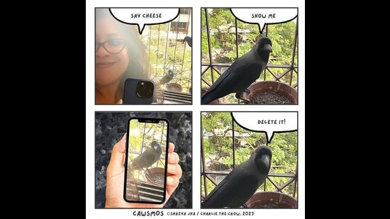 There’s data, humour, endearing anthropomorphisation, and sometimes all three, in Shreya Jha’s posts.