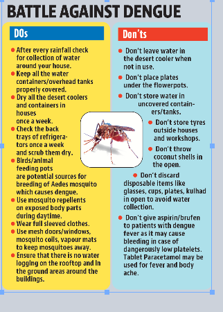 Precautionary measures to prevent dengue. (HT)