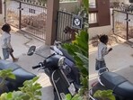 Little girl playing a game of fetch with the dog. Little girl playing a game of fetch with the dog.