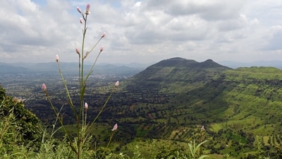 Mahabaleshwar, Maharashtra: Escape to the misty hills of Mahabaleshwar, where the monsoon brings lush greenery and cascading waterfalls to life. Explore the scenic viewpoints, indulge in strawberry picking, and create unforgettable memories while reveling in the romantic ambiance of this charming hill station. (HT FILE PHOTO) Mahabaleshwar, Maharashtra: Escape to the misty hills of Mahabaleshwar, where the monsoon brings lush greenery and cascading waterfalls to life. Explore the scenic viewpoints, indulge in strawberry picking, and create unforgettable memories while reveling in the romantic ambiance of this charming hill station. (HT FILE PHOTO)