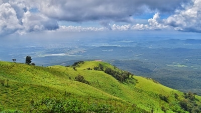 Coorg, Karnataka: Known as the "Scotland of India," Coorg transforms into a picturesque paradise during the monsoon season. Stroll through coffee plantations, get drenched under cascading waterfalls, and cozy up in charming homestays, immersing yourselves in the romance of this lush green haven. (Shutterstock) Coorg, Karnataka: Known as the "Scotland of India," Coorg transforms into a picturesque paradise during the monsoon season. Stroll through coffee plantations, get drenched under cascading waterfalls, and cozy up in charming homestays, immersing yourselves in the romance of this lush green haven. (Shutterstock)