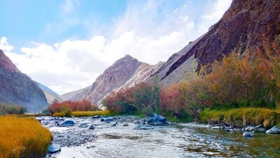 Pahalgam, Jammu and Kashmir: Experience monsoon romance in the pristine valleys of Pahalgam, nestled amidst the Himalayan mountains. Take romantic walks by the gushing Lidder River, enjoy horseback riding through picturesque landscapes, and cozy up in quaint cottages, surrounded by the serene beauty of nature. (Unsplash) Pahalgam, Jammu and Kashmir: Experience monsoon romance in the pristine valleys of Pahalgam, nestled amidst the Himalayan mountains. Take romantic walks by the gushing Lidder River, enjoy horseback riding through picturesque landscapes, and cozy up in quaint cottages, surrounded by the serene beauty of nature. (Unsplash)