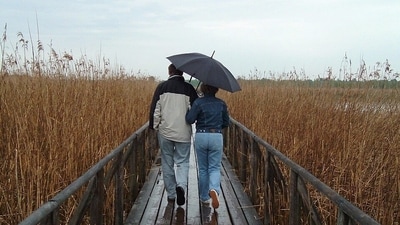 Monsoon season in India brings with it a sense of romance and enchantment, making it an ideal time for couples to embark on unforgettable getaways. From misty hill stations to lush green valleys, India offers a myriad of dreamy monsoon destinations that set the perfect stage for love to bloom. Let's take you on a journey through some of the most romantic rain-soaked destinations in India, where you can immerse yourselves in the beauty of nature (Pixabay) Monsoon season in India brings with it a sense of romance and enchantment, making it an ideal time for couples to embark on unforgettable getaways. From misty hill stations to lush green valleys, India offers a myriad of dreamy monsoon destinations that set the perfect stage for love to bloom. Let's take you on a journey through some of the most romantic rain-soaked destinations in India, where you can immerse yourselves in the beauty of nature (Pixabay)