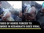 Viral: Horse Forced to Smoke During Kedarnath Yatra; Uttarakhand Police File FIR | Watch Viral: Horse Forced to Smoke During Kedarnath Yatra; Uttarakhand Police File FIR | Watch