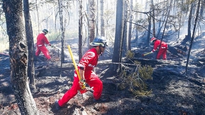Limited resources could threaten Canada's ability to douse fires, which are expected to get bigger. (AFP) Limited resources could threaten Canada's ability to douse fires, which are expected to get bigger. (AFP)