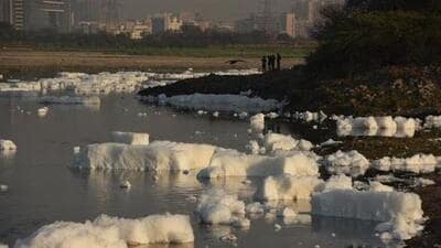 Haryana pollution board has been told to tighten the noose around industries polluting Yamuna. (HT File) Haryana pollution board has been told to tighten the noose around industries polluting Yamuna. (HT File)