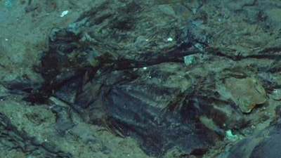 Amidst the circulating images purportedly showing the debris of the OceanGate vessel, the truth behind these viral photos has been unveiled. (Twitter) Amidst the circulating images purportedly showing the debris of the OceanGate vessel, the truth behind these viral photos has been unveiled. (Twitter)