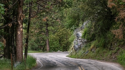 Dehradun to Jim Corbett: This scenic drive takes you through the breathtaking landscapes of Uttarakhand, where you'll witness the majestic beauty of the Himalayan foothills. As you drive along the winding roads, be prepared to be enchanted by lush green forests, cascading waterfalls, and the serene charm of the region. Get ready for an exhilarating forest adventure filled with wildlife encounters and unforgettable natural beauty. (Vladimir Kudinov on Unsplash) Dehradun to Jim Corbett: This scenic drive takes you through the breathtaking landscapes of Uttarakhand, where you'll witness the majestic beauty of the Himalayan foothills. As you drive along the winding roads, be prepared to be enchanted by lush green forests, cascading waterfalls, and the serene charm of the region. Get ready for an exhilarating forest adventure filled with wildlife encounters and unforgettable natural beauty. (Vladimir Kudinov on Unsplash)